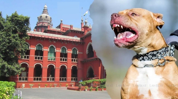 Dogs Central Govt Madras High Court