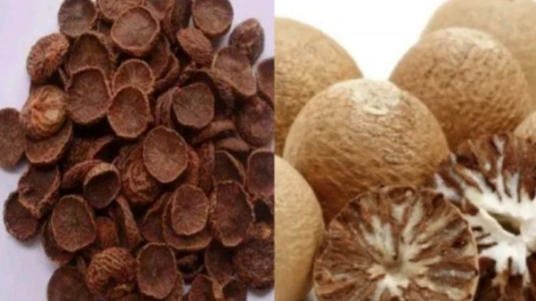 Health Health tips Kottai Pakku Betel Nuts betel nuts kottai pakku High Blood Pressure