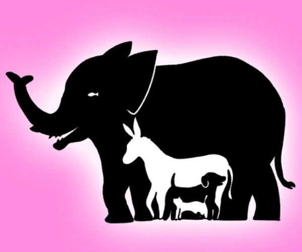 offbeat world optical illusion trend illusion photo picture optical illusion picture puzzle offbeat world optical illusion trend illusion photo picture optical illusion picture puzzle