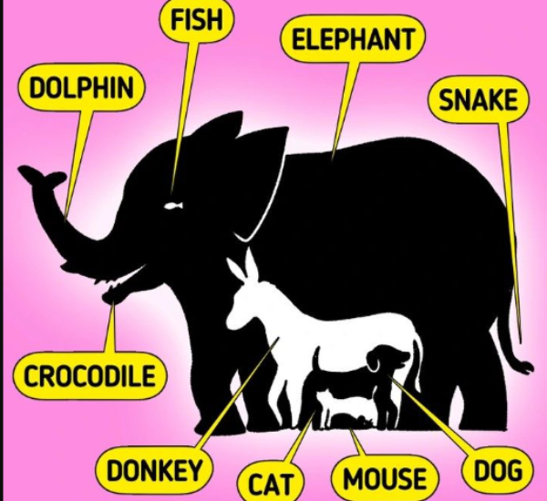 offbeat world optical illusion trend illusion photo picture optical illusion picture puzzle offbeat world optical illusion trend illusion photo picture optical illusion picture puzzle