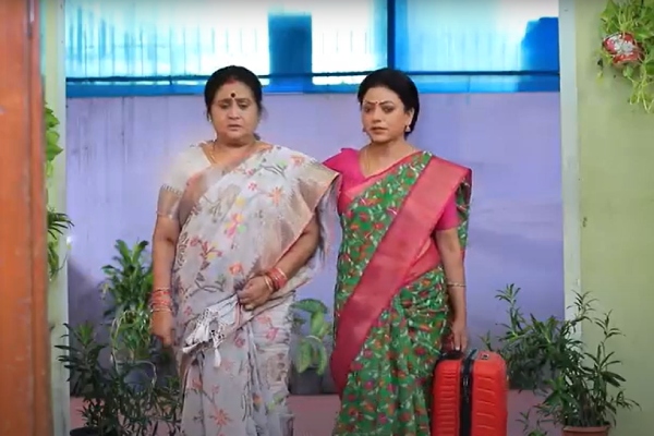 Television Baakiyalakshmi Serial Vijay TV Entertainment
