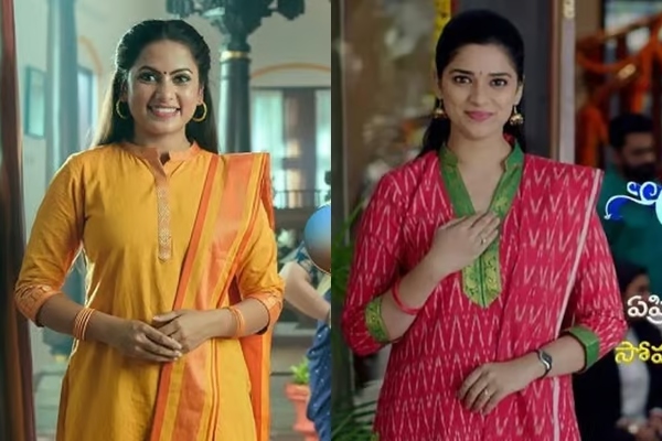 Television Ethirneechal Serial