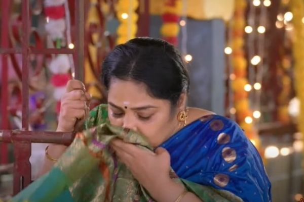 Television Sun TV Kayal Serial Chaitra Reddy