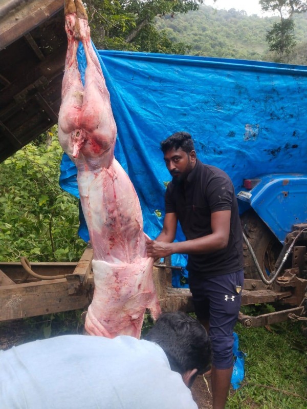 Dindigul Kodaikanal crime