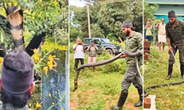 Kovai Coimbatore Mettupalayam