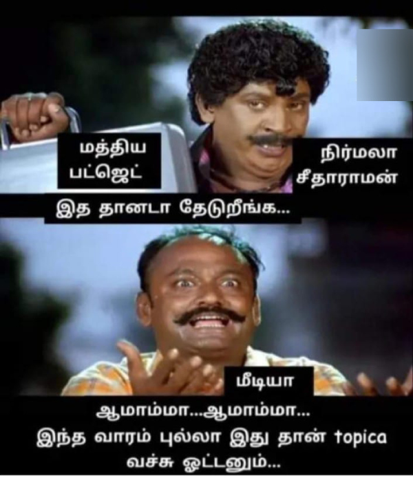 budget 2024 nirmala sitharaman memes 2024