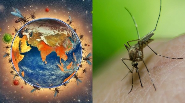 climate change world health