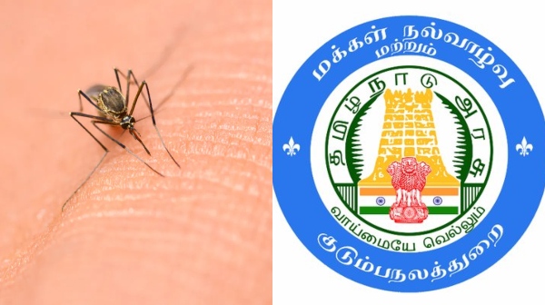 dengue tamil nadu health dengue tamil nadu health