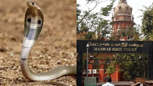 chennai highcourt tamil nadu
