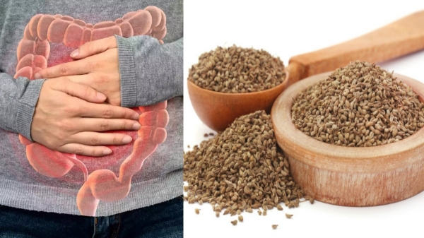 health digest
