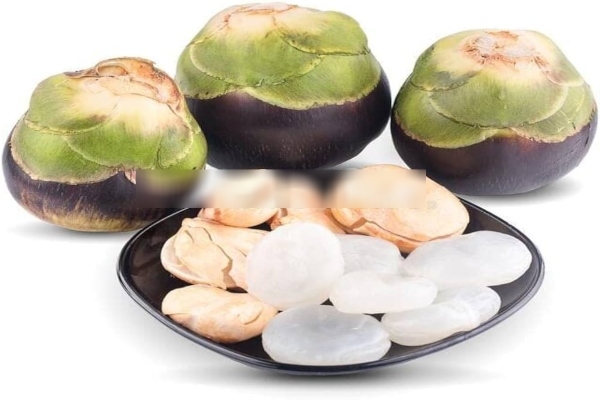 Nungu Palm fruit Nungu benefits