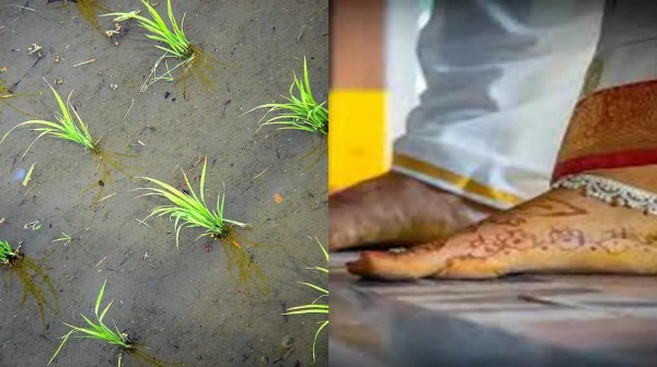 Relationship Daughter in law