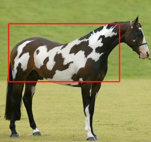 optical illusion offbeat trend