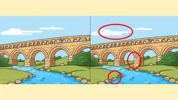 optical illusion trend offbeat