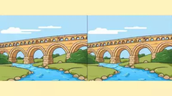 optical illusion trend offbeat
