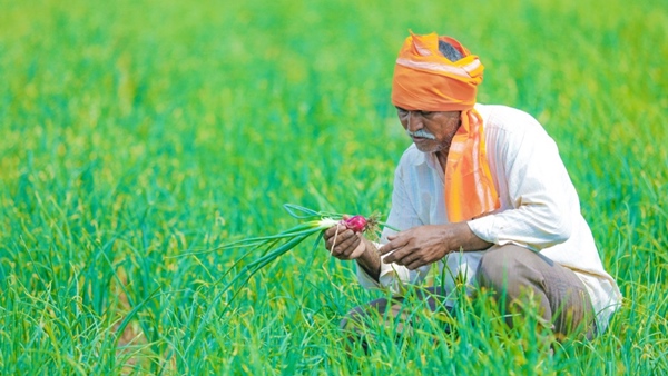 Kanyakumari District Collector Sridhar invited to enroll in Prime Minister Insurance Scheme