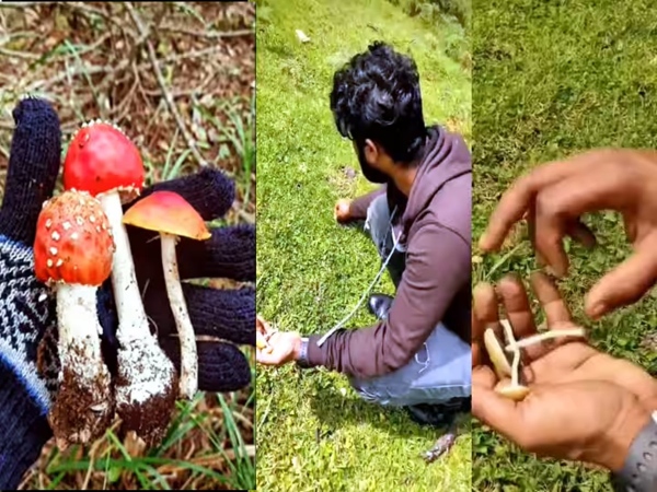 kodaikanal