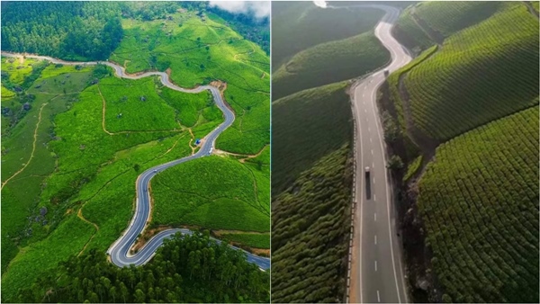 tour Munnar kodaikanal
