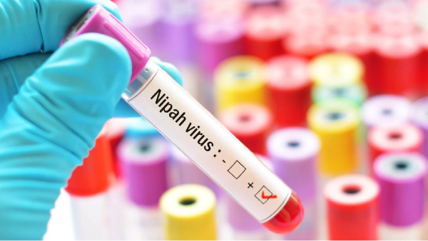 nipah virus Tamil nadu kerala