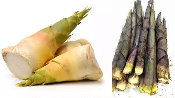 Bamboo Shoots Moongil Kuruththu Weight Loss