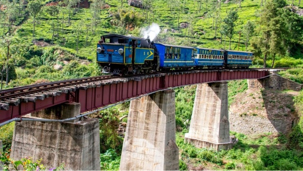 Train Nilgiri Hill Train Travel