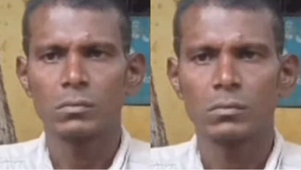 Govt Bus weird Trend Govt Bus weird Trend