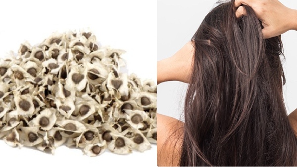 Drumstick Seed Oil Hair Oil Hair fall