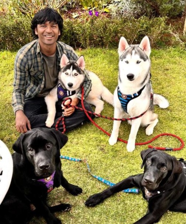 Actor Dhanush Chennai