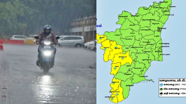 Rain Weather report Rain Weather report