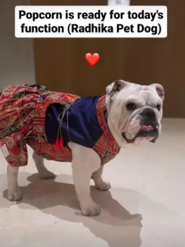 Ambani Anant Ambani radhika merchant