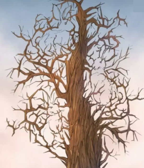 optical illusion offbeat trend optical illusion offbeat trend