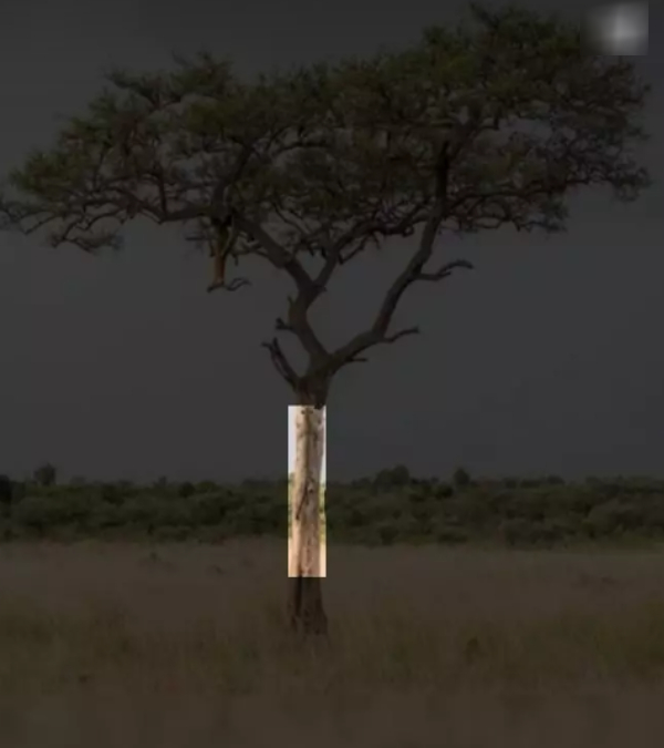 optical illusion offbeat trend