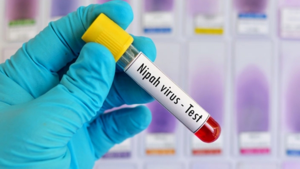 Nipah Nipah virus Kerala