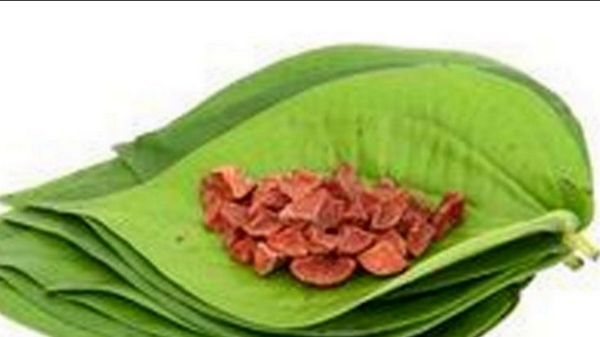 Spirituality Betel Leaves Betel Leaf Vastu Tips