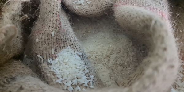 amma unavagam tamilnadu govt