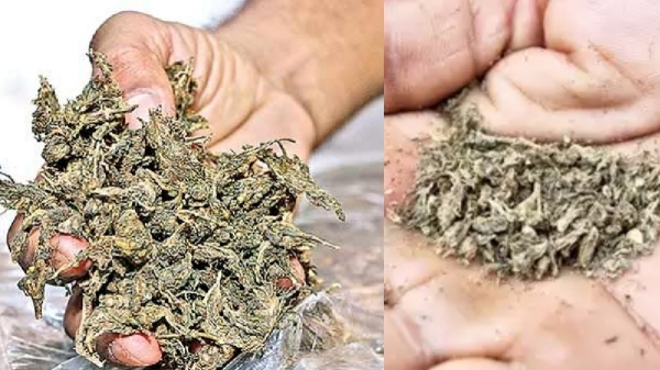 Dindigul Kodaikanal crime