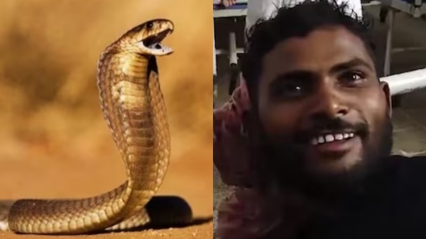 snake bihar