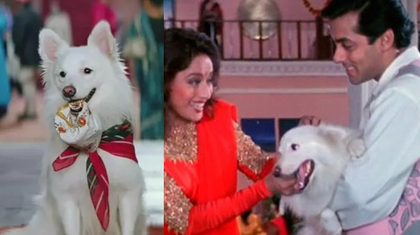 television salman khan entertainment television salman khan entertainment