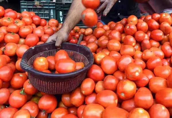 Koyambedu Tomato