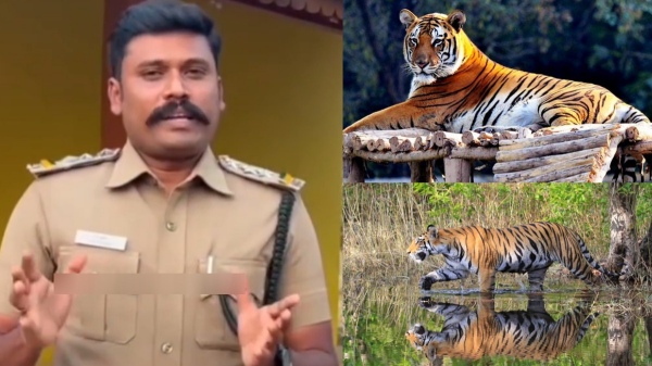 tiger forest tamil nadu