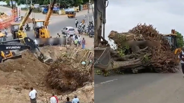 50-year-old-banyan-tree-in-kallakurichi-gets-new-lease-of-life-translocated