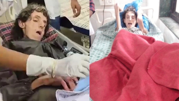 Maharashtra Forest America Maharashtra Forest America