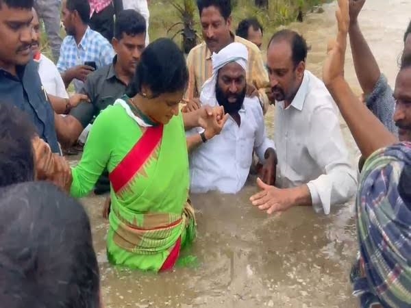 Ys Sharmila Andhra Pradesh chandra babu naidu