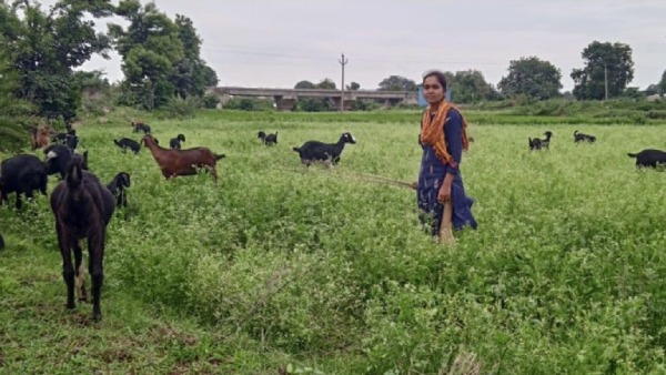 Telangana IIT Tribal