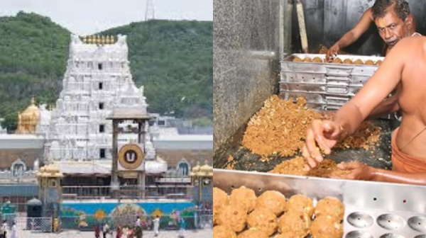 tirumala spirtuality laddu