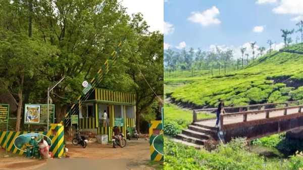 Tirunelveli Nellai Manjolai