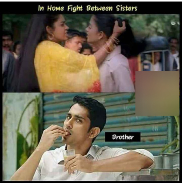 raksha bandhan brothers day memes