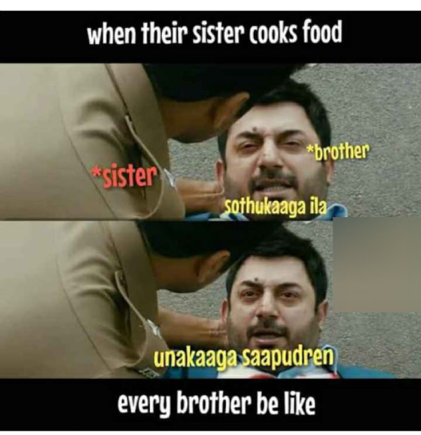 raksha bandhan brothers day memes