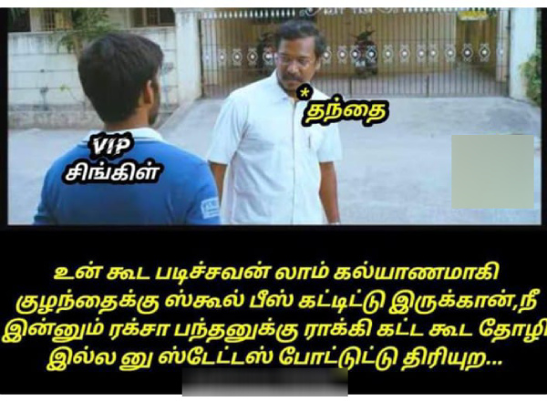 raksha bandhan brothers day memes