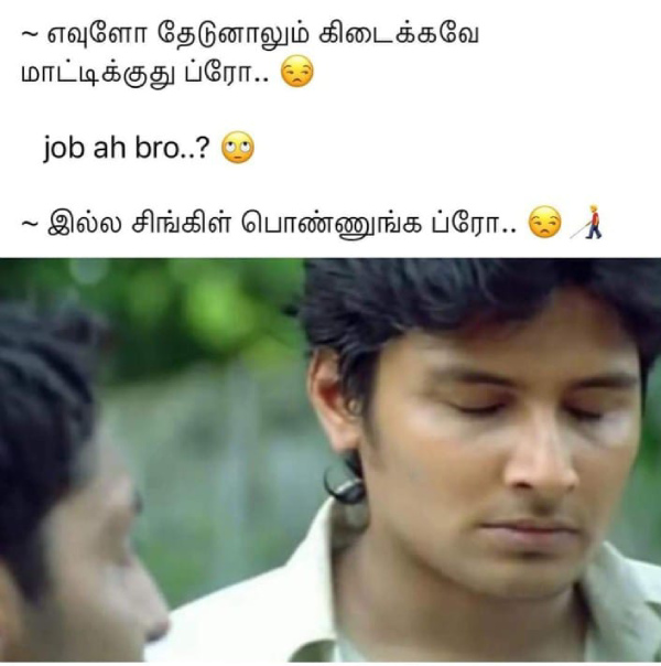 raksha bandhan brothers day memes